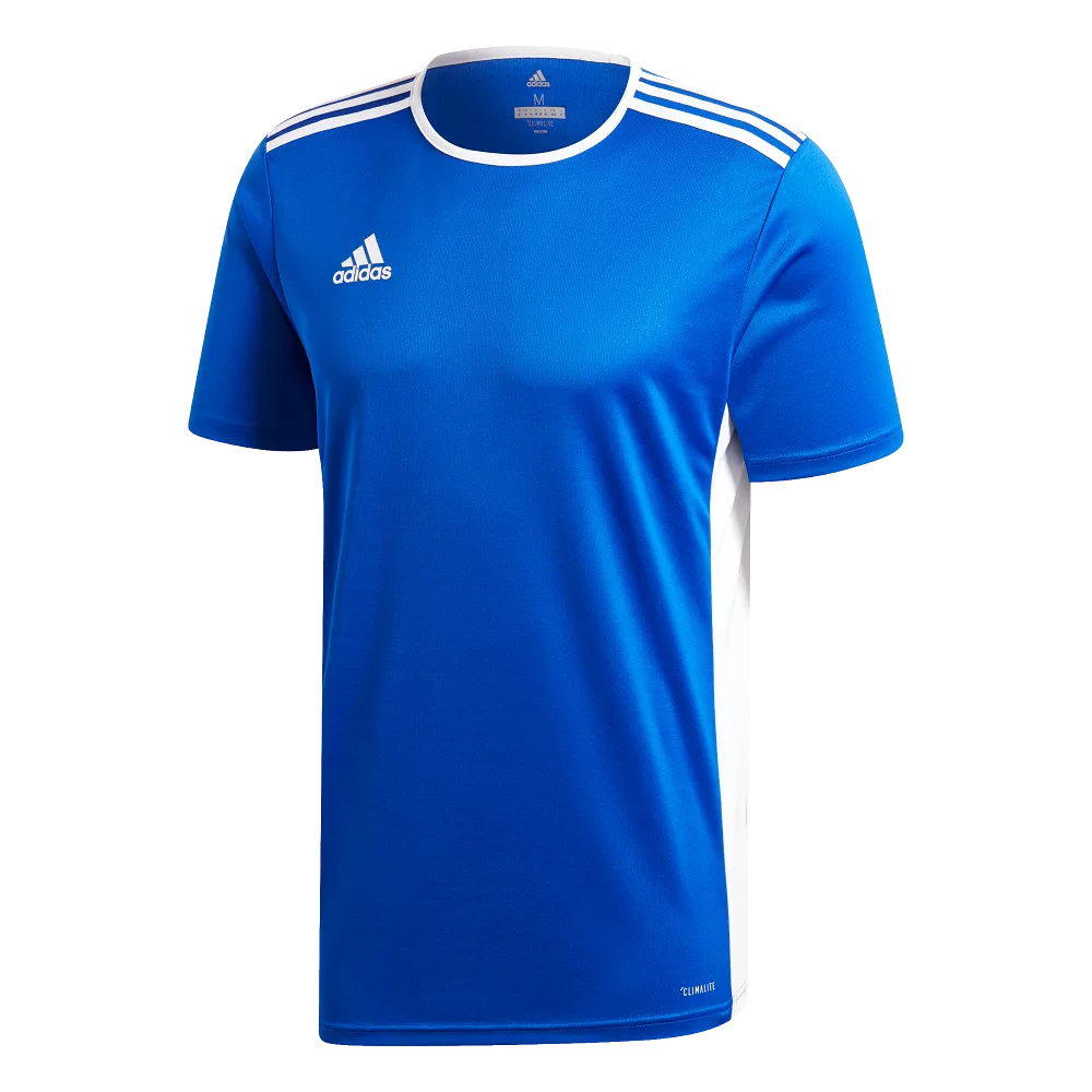 Adidas Adult Entrada 19 Jersey (Blue/White)