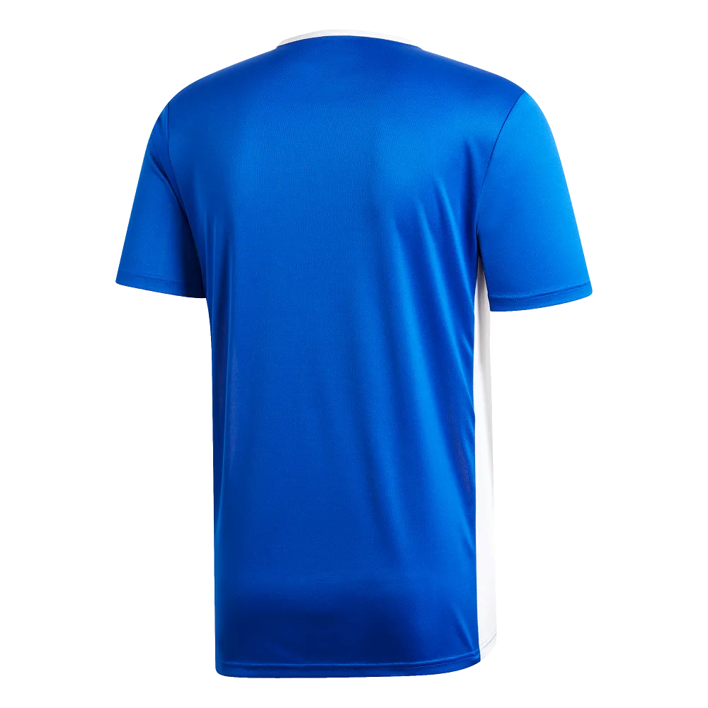 Adidas Adult Entrada 19 Jersey (Blue/White)