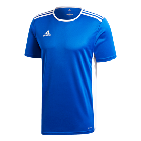 Adidas Adult Entrada 19 Jersey (Blue/White)