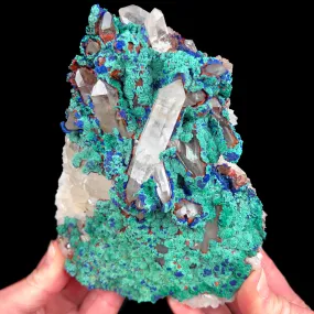 Rare Azurite with Malachite and Quartz