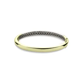 Yellow Gold Plated 6mm Plain D Hollow Bangle