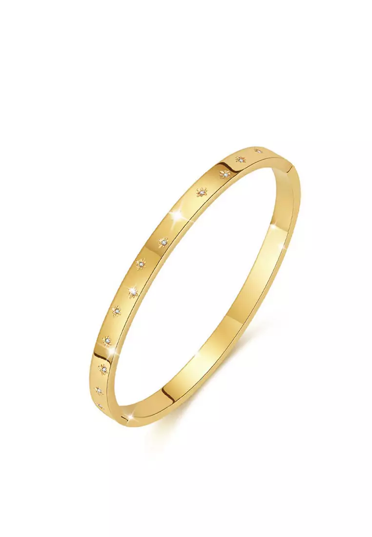 YOUNIQ YOUNIQ WONDER 18K Gold Titanium Bangle with Cubic Zirconia