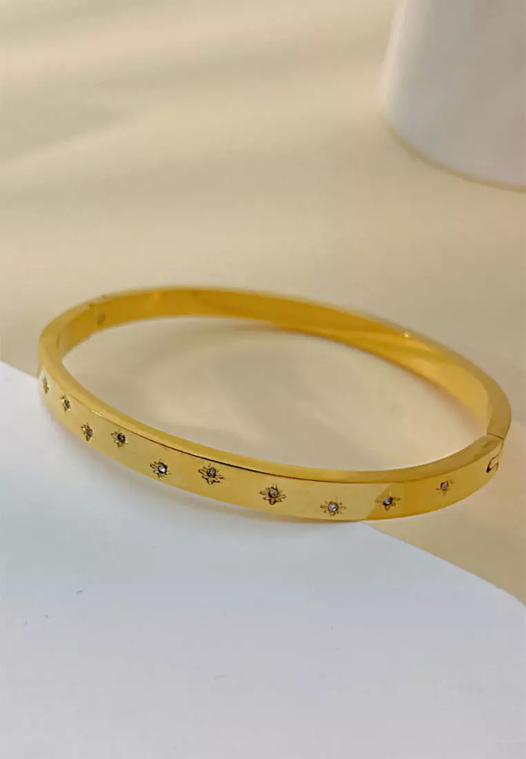 YOUNIQ YOUNIQ WONDER 18K Gold Titanium Bangle with Cubic Zirconia